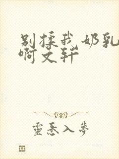 别揉我奶乳嗯～啊文轩