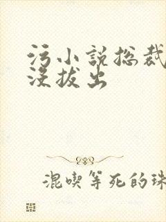 污小说总裁整夜没拔出