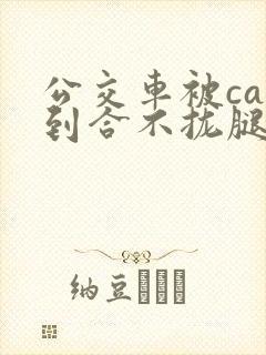 公交车被cao到合不拢腿视频