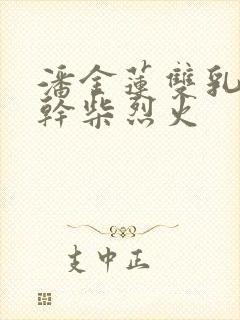 潘金莲双乳晃动干柴烈火封面