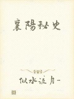 襄阳秘史