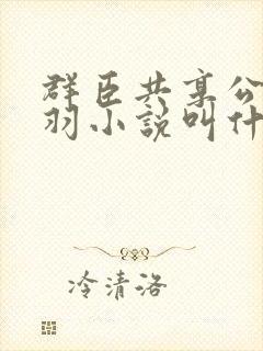 《群臣共享公主银羽小说叫什么》小说封面