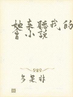 她来听我的演唱会小说