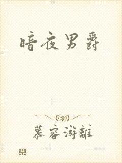 暗夜男爵封面