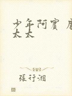 少年阿宾 房东太太