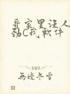 哥家里没人使点劲C我软件