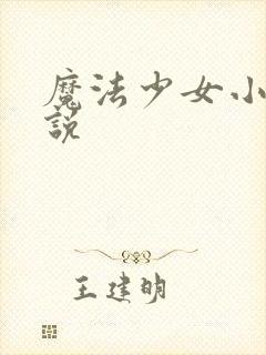 魔法少女小圆小说封面