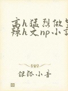 高h猛烈做哭高辣h文np小说