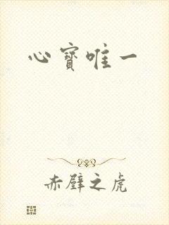 心宝唯一