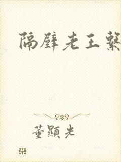 隔壁老王系统封面