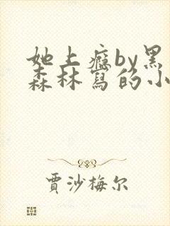 她上瘾by黑暗森林写的小说免费阅读无弹窗