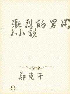 激烈的男同(h)小说