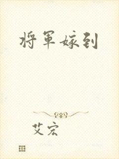 将军嫁到
