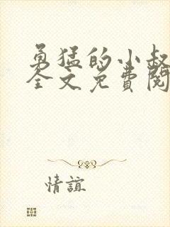 勇猛的小叔小说全文免费阅读