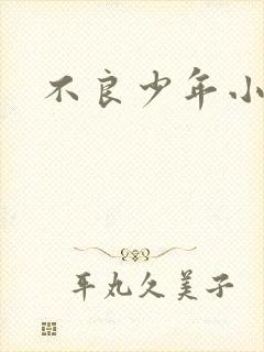 《不良少年小说》小说封面