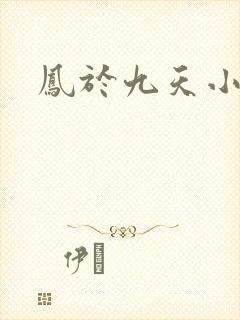 凤于九天小说