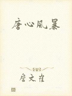 唐心风暴
