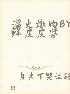 温火炖肉BY海鲜皮皮酱