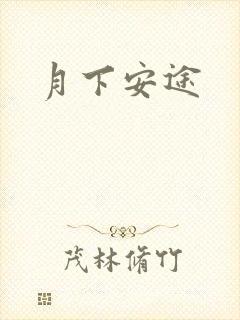 月下安途