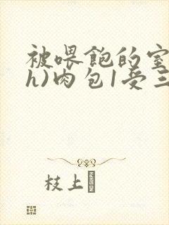 被喂饱的室友(h)肉包1受三攻