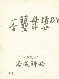 一头母猪BY黄金圣斗士