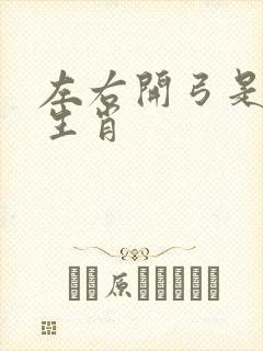 左右开弓是什么生肖