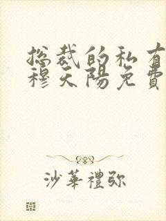 总裁的私有宝贝穆天阳免费