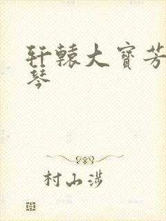 轩辕大宝芳菲雅琴