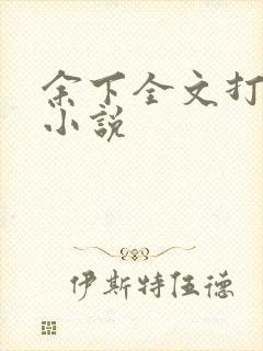 余下全文打不开小说