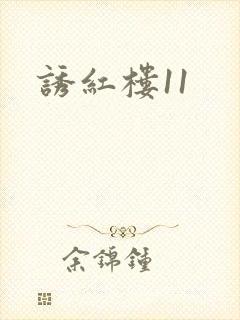 诱红楼11