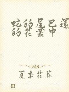 蛇的尾巴还在我的花丛中