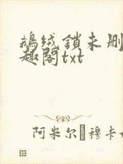 鹅绒锁未删除笔趣阁txt