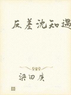 反差沈知遇晏应