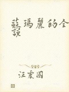 苏玛丽的全部小说