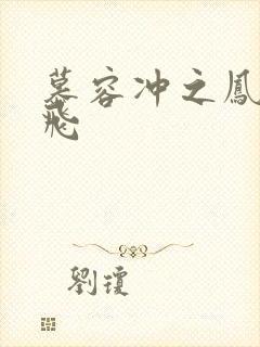 慕容冲之凤凰于飞