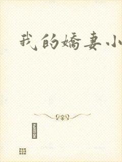 我的娇妻小说