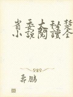 省委大秘楚东恒小说阅读全文