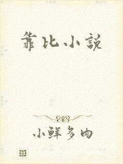 靠比小说