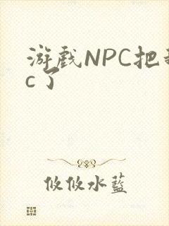 游戏NPC把我c了