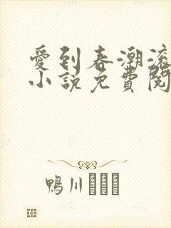 爱到春潮滚滚来小说免费阅读