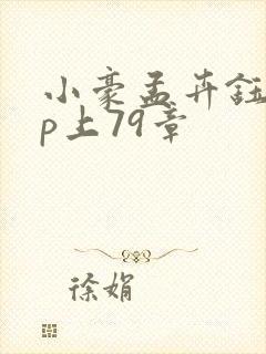 小豪孟卉钰慧三p上79章