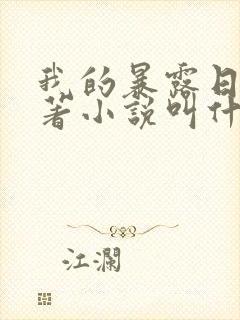 我的暴露日记原著小说叫什么