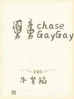 国产chase男男GayGay