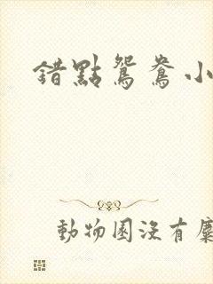 错点鸳鸯小说