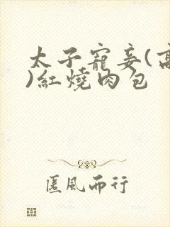 太子宠妾(高肉)红烧肉包