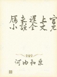 雁未迟上官穿越小说全文免费阅读