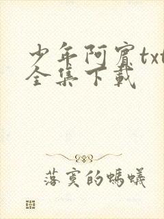 少年阿宾txt全集下载