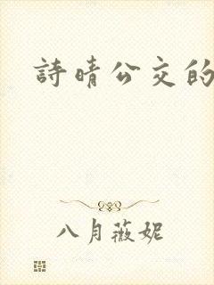 诗晴公交的小说封面