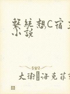 系统想C宿主的小说
