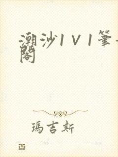潮沙1∨1笔趣阁